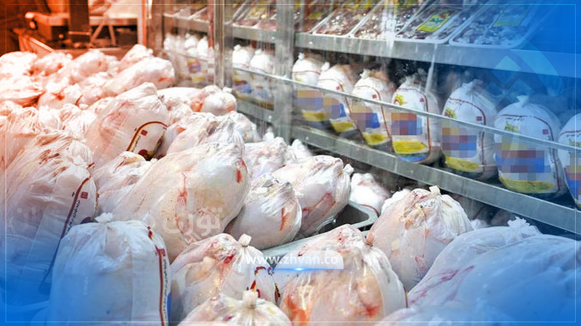 وەزارەتی كشتوكاڵی عێراق: هاوردەكردنی مریشكی بەستوو قەدەغە دەكرێت